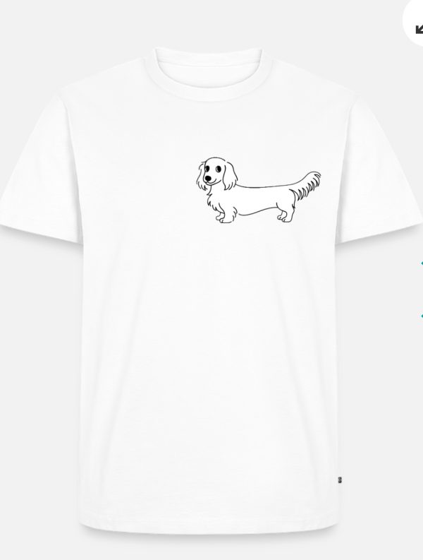 Dachshund